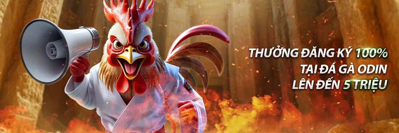 Hướng dẫn cài đặt Nhất VIP trên iOS